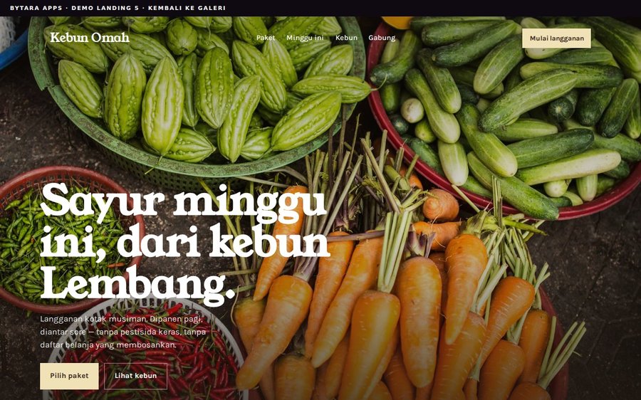 Preview Landing Page 5